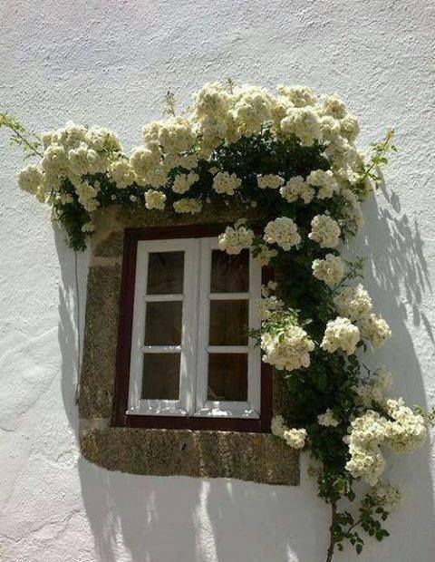 The difference that double and triple glazed windows can make