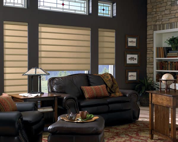Energy efficient window treatments